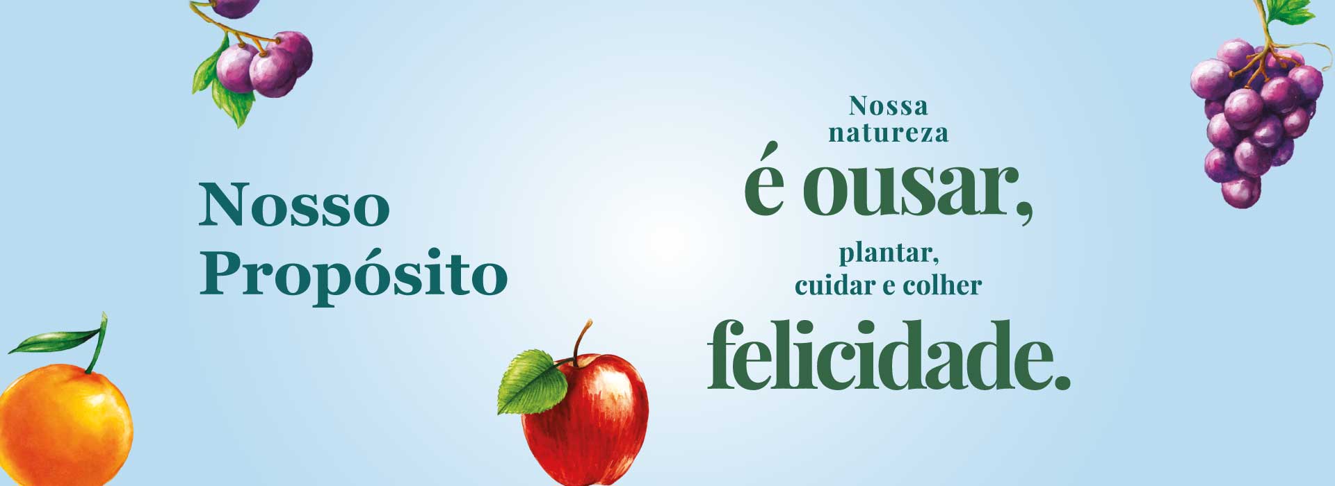 banner Campo Largo > Sucos integrais, Chás Funcionais, Chás Orgânicos e Água de Coco