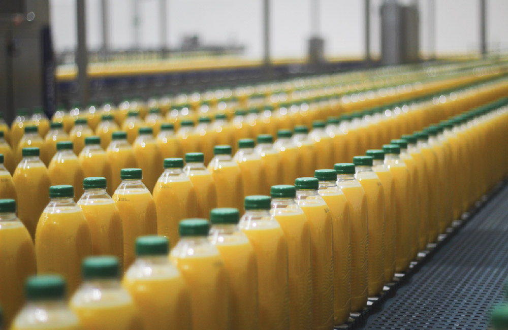 Processo de produção e sustentabilidade: carinho e cuidado em todo o processo de produção