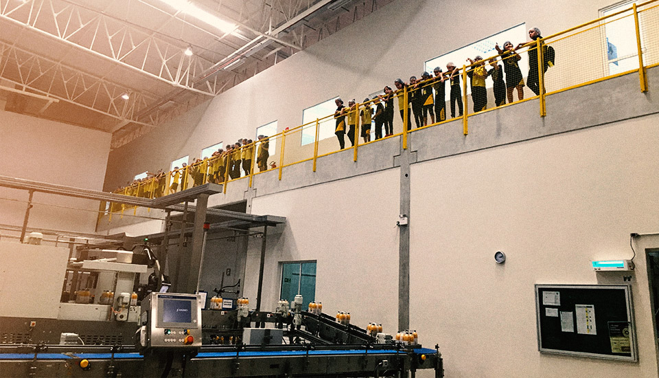 Campo Largo > Sucos integrais, Chás Funcionais, Chás Orgânicos e Água de Coco