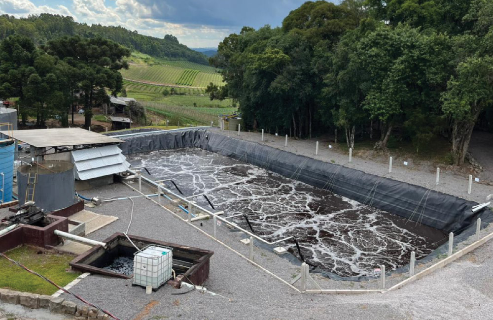 Campo Largo > Sucos integrais, Chás Funcionais, Chás Orgânicos e Água de Coco