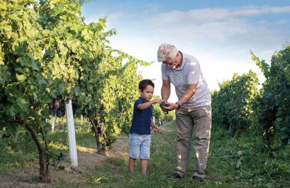 Campo Largo > Sucos integrais, Chás Funcionais, Chás Orgânicos e Água de Coco
