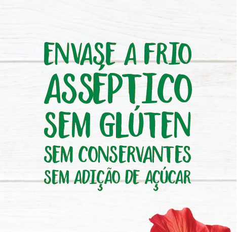 Chá de Hibisco + Cranberry